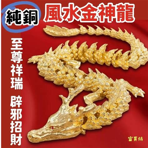 龍魚擋煞|【風水用品中金龍是什麼】龍魚風水學 